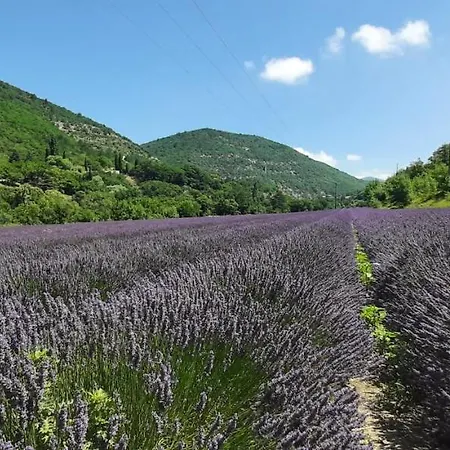 Maison Provençale, Jardin Arboré Et Terrasses Proche Grignan 8-10 Pers Réauville